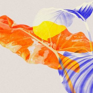 Artistic Illustration Essentials